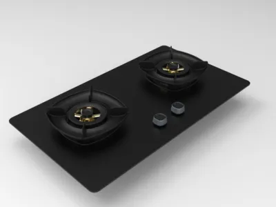 Sleek Dual Burner Gas Stove for Modern Home Cooks